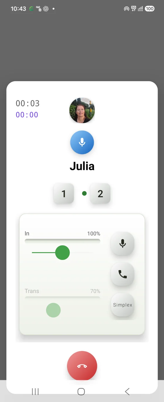 An established voice connection screen